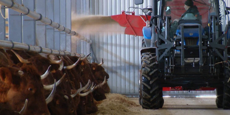 დმანისში, თიბისის მხარდაჭერითა და ქართულ-ფრანგული ინვესტიციით, მაღალტექნოლოგიური ფერმა ამოქმედდა