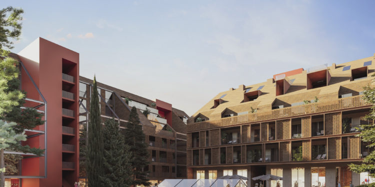 The Perfect Gift: An Exciting Spring Offer from Project Moedani