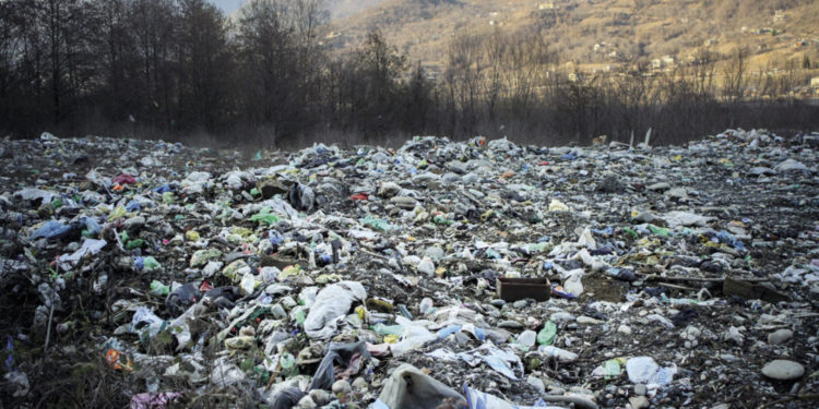 Promoting Responsible Business and Green Economy in Georgia