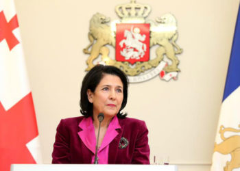 Salome Zurabishvili: Application for EU Membership in 2024 was not Even Discussed with President