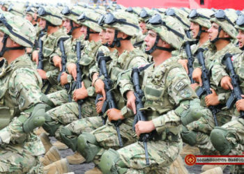 Georgia Marks 30th Anniversary of Armed Forces