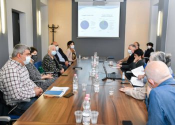 Tea Tsulukiani Meets with Representatives of Art Field