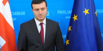 MP Khojevanishvili: We should be more Active before NATO Summit, Raise Issue of Georgia & Ukraine