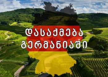 GTUC: 24 Georgians in Germany for Seasonal Work in “Difficult Working Conditions”