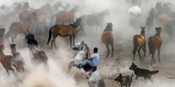 ქოლგა თბილისი ფოტო 2021-ის დაჯილდოება 7 მაისს, ვირტუალურ სივრცეში გაიმართება