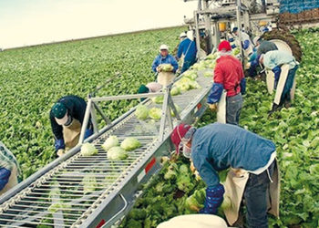 Source of photo: bpn.ge