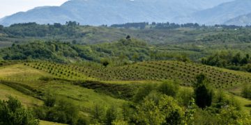 Looking beyond the Crisis: Investment Potential of Georgia’s Regions