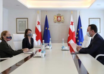 Georgian PM, US Amb. Discuss Strategic Partnership, Global Challenges