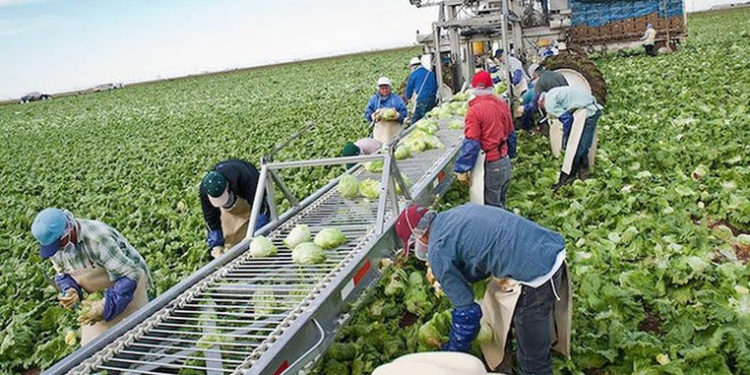 Employment Agency on Employees in Germany: Concrete Measures have been Taken to Improve their Conditions