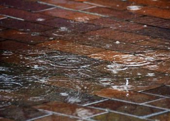 Short-Term Rain and Thunderstorms Expected