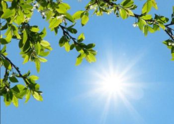 Warm, Dry Weather is Expected in Georgia on May 12-14