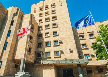 Investigation Launched into Possible Crimes Committed against Children at Ninotsminda Orphanage