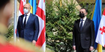 PM: Both Ukraine and Georgia are Motivated to Become Full Members of NATO Very Soon