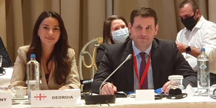Georgia Elected as a Member of UNWTO Executive Council for 2021-2025