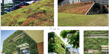 Czech Experts’ Visit Georgia – Green Cities and Urban Planning