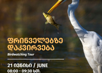 Birdwatching Tour on June 21 at Krtsanisi Forest Park