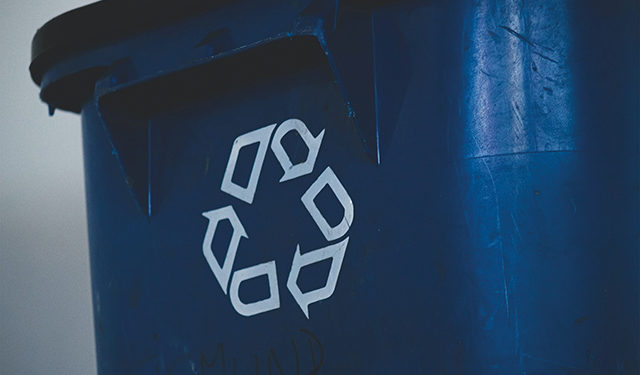 ISET Economist Blog | Managing Organic Waste Optimally – the Current Trends and Potential Solutions for Georgia