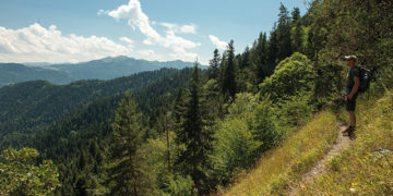 New visitors’ services have been introduced in Borjomi-Kharagauli National Park. Photo source: thdk.be