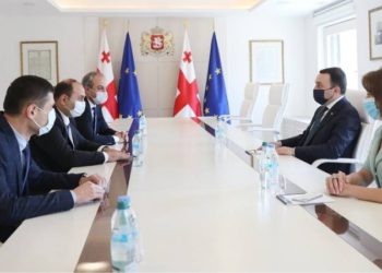 Giorgi Urushadze Appointed State Representative in Guria Region