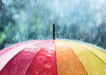 Short-Term Rain and Thunderstorms are Expected in Georgia Until June 8