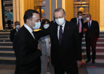 The Prime Minister of Georgia welcomes the Prime Minister of Ukraine, both eager for their countries to join NATO. Source: Facebook