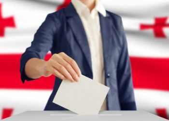 NDI Launches New Georgia Elections Data Website
