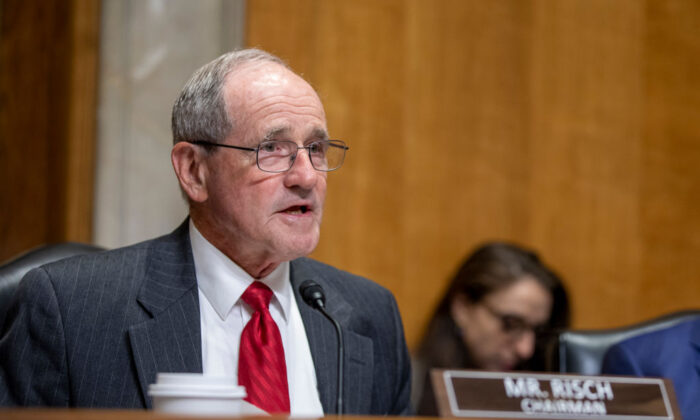 Senator Jim Risch Condemns Violence in Georgia - Georgia Today