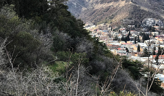 Mtatsminda Makeover – Reviving Tbilisi’s Iconic Ridge for Generations to Come