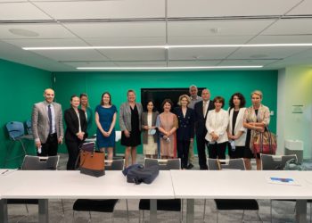 Georgian NGOs Conduct Meeting in Washington