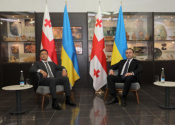 PM Meets with Volodymyr Zelensky