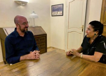 President of Georgia Meets with Charles Michel in France