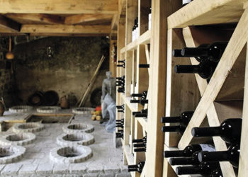 The aim of the project is to popularize the Uplistsikhe Museum-Reserve, to promote the development of wine tourism in the region, and to create a collection of historical wine varieties from Shida Kartli