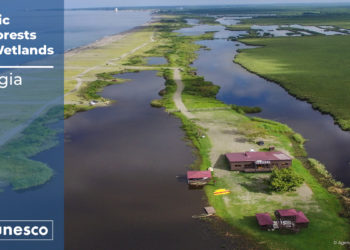 UNESCO Grants Georgia’s Four Protected Areas World Natural Heritage Status