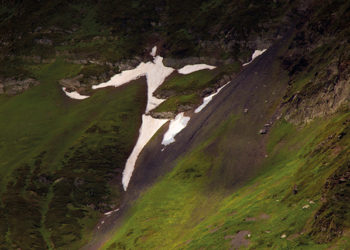 Pareidolia: Everywhere