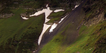 Pareidolia: Everywhere