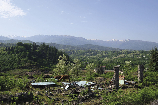 At its height, Georgia was the world’s fourth largest producer of tea, and thousands of hectares of plantations still cover the subtropical western hills.