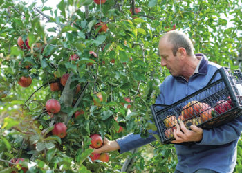 Giorgi Tediashvili: It’s a special feeling when a product made by your hands is distinguished in quality, can only benefit consumers, and does no harm to the environment