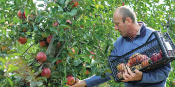 Giorgi Tediashvili: It’s a special feeling when a product made by your hands is distinguished in quality, can only benefit consumers, and does no harm to the environment
