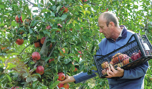 Giorgi Tediashvili: It’s a special feeling when a product made by your hands is distinguished in quality, can only benefit consumers, and does no harm to the environment