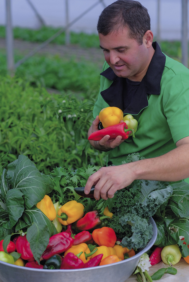 Kakha Tutberidze: You can be confident in the quality of your products and know that vegetables grown to these standards will compete with the products of countries with many years of agrarian tradition