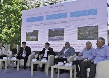 UNDP supports Georgian municipalities to create a favorable environment for investments, to promote local entrepreneurship and to introduce sustainable economic models that will ensure equitable growth during the pandemic and beyond