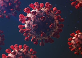Coronavirus: Georgia Reports 4128 New Cases, 79 Deaths