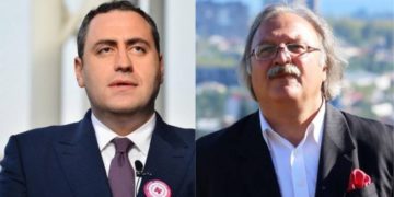 Former UNM Chairman Vashadze Joins Third Force Team