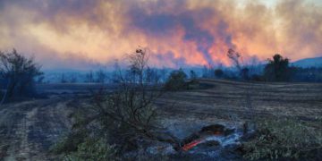 Massive Forest Fires in Turkey