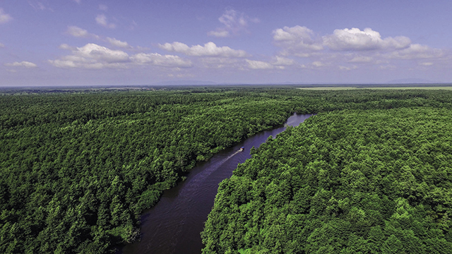 Kolkheti National Park is a wetland of global importance known for its biodiversity and conservation of unique species. The wetlands are critically important for water quality and flood control