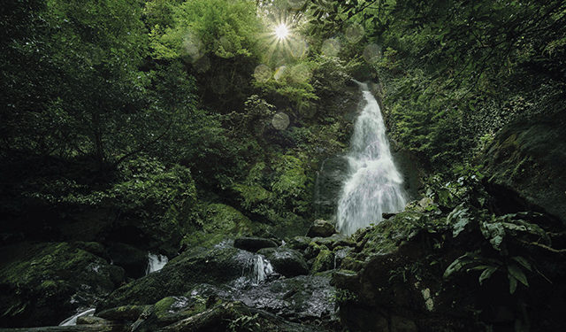 The Mtirala National Park is one of the most popular tourist spots for foreigners in the Adjara region, and is known as the wettest location in Georgia
