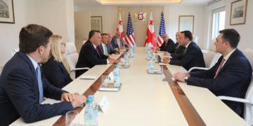 PM Meets with Delegation of US Congressmen