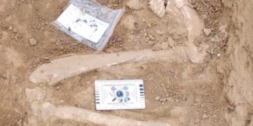 Researchers Discover New Hominid Evidence in Dmanisi