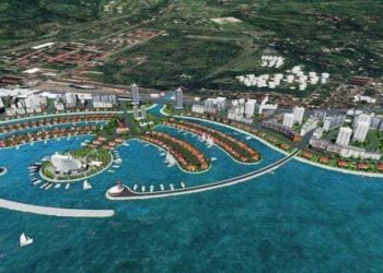 Tornike Rizhvadze: We’ll Build Artificial Palm Tree-Like Island in Batumi