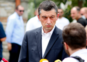 Ombudsman: Dozens of Public Servants Harassed Over Relations with Gakharia Party Members